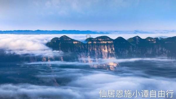 动物帮帮忙保卫家园